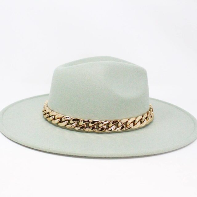 MCA122 Mint Chain Link Suede Hat 2