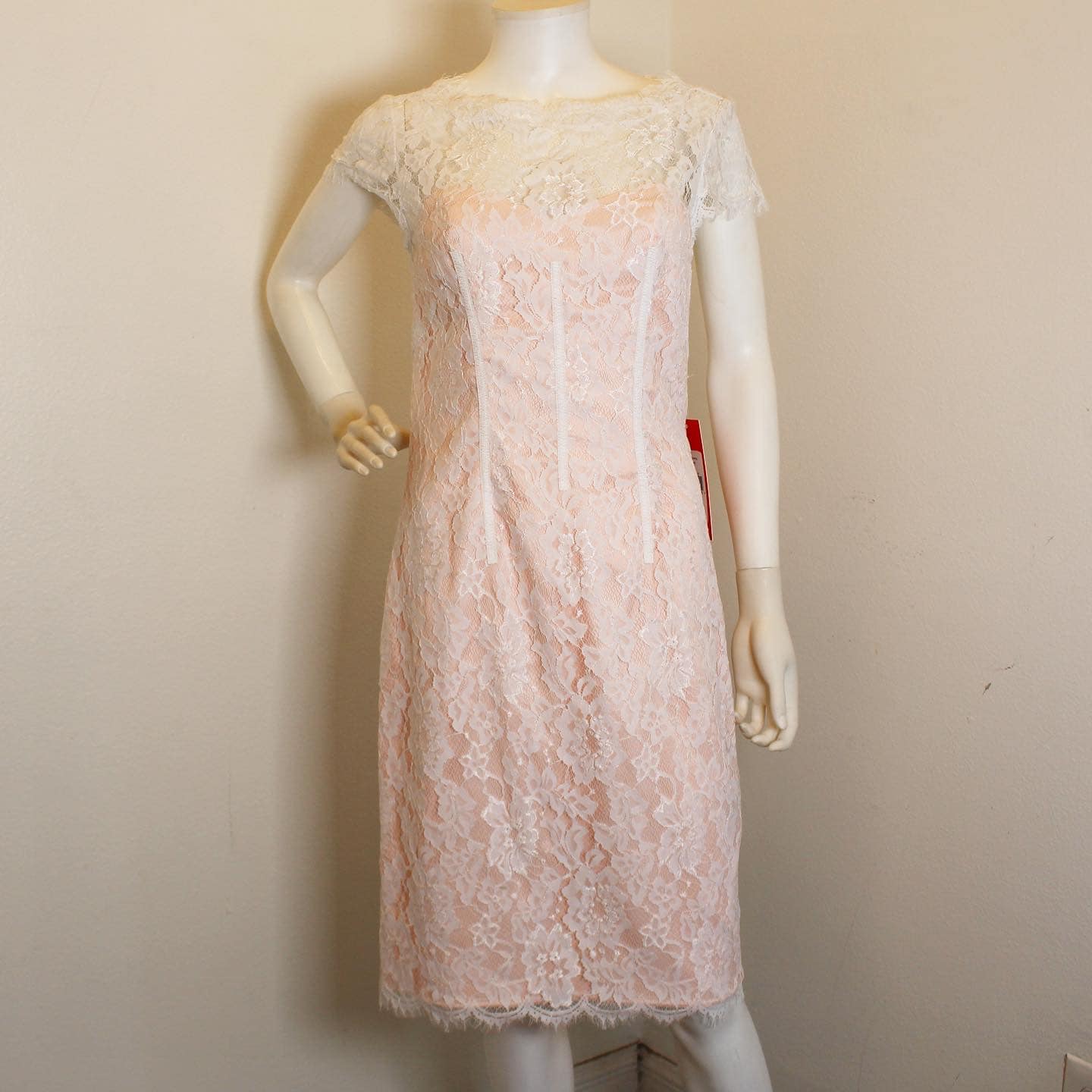 MANIQUE #42340 Ivory & Pink Lace Cocktail Dress (Size 6) 1