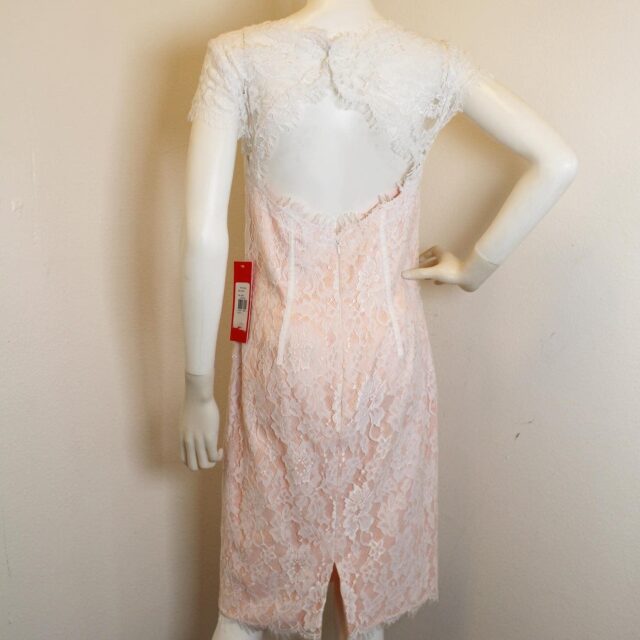 MANIQUE #42340 Ivory & Pink Lace Cocktail Dress (Size 6) 3